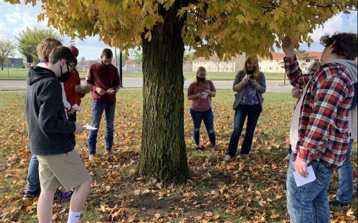 Evaluating leaf characteristics